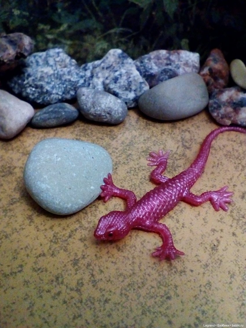 Лурения. Домашние питомцы на прогулке | Бэйбики Лурения. Домашние питомцы на прогулке