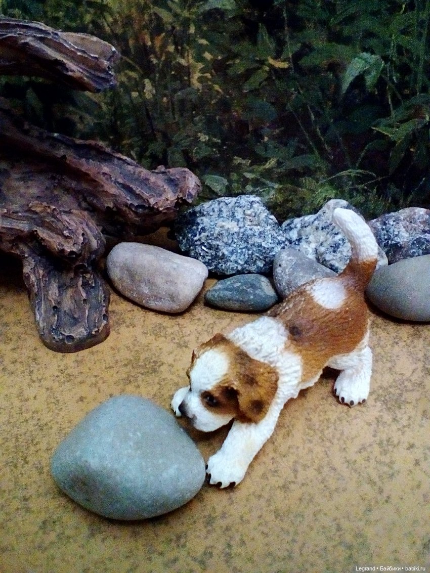 Лурения. Домашние питомцы на прогулке | Бэйбики Лурения. Домашние питомцы на прогулке