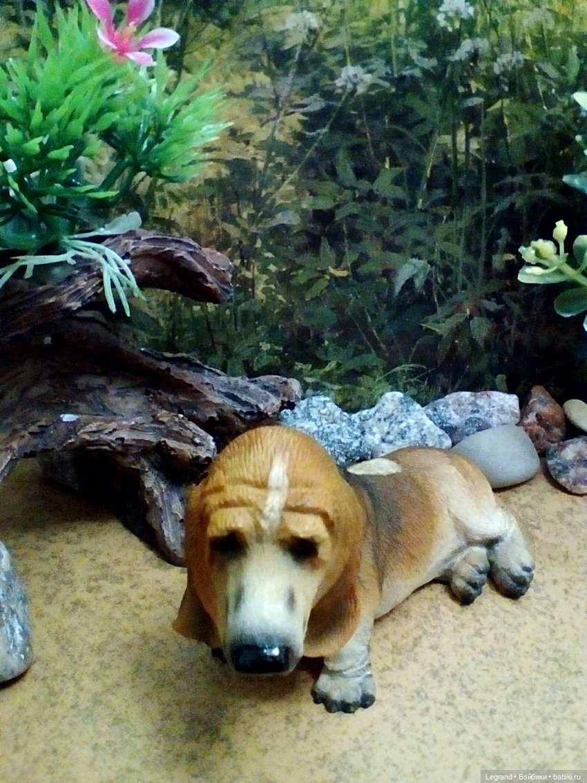 Лурения. Домашние питомцы на прогулке | Бэйбики Лурения. Домашние питомцы на прогулке (фото 4)