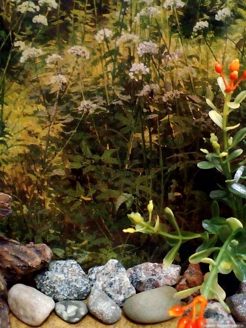 Лурения. Домашние питомцы на прогулке | Бэйбики Лурения. Домашние питомцы на прогулке (фото 2)