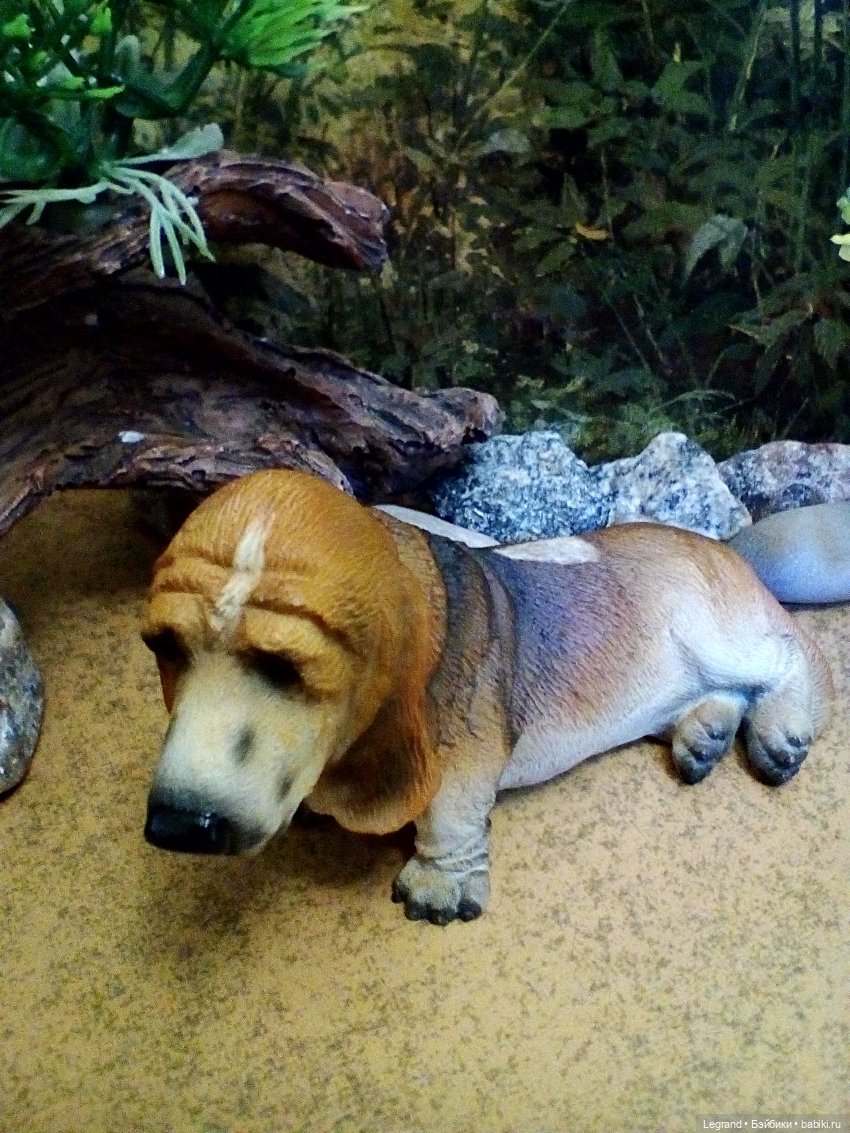 Лурения. Домашние питомцы на прогулке | Бэйбики Лурения. Домашние питомцы на прогулке (фото 3)