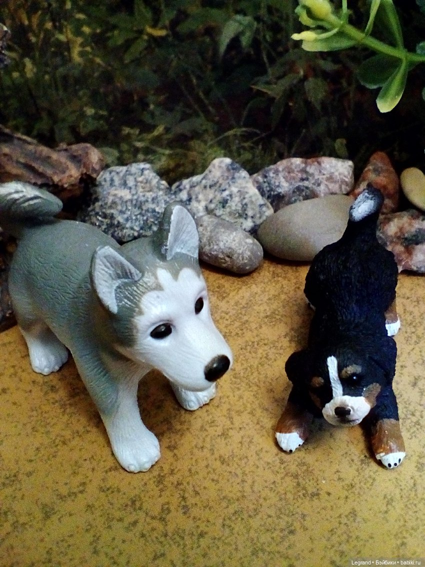 Лурения. Домашние питомцы на прогулке | Бэйбики Лурения. Домашние питомцы на прогулке (фото 7)