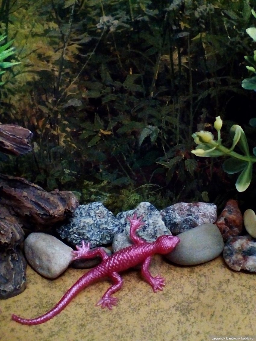 Лурения. Домашние питомцы на прогулке | Бэйбики Лурения. Домашние питомцы на прогулке