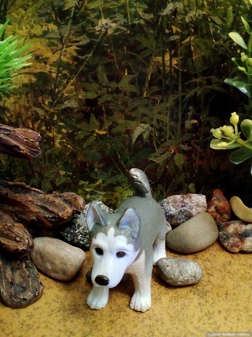 Лурения. Домашние питомцы на прогулке | Бэйбики Лурения. Домашние питомцы на прогулке (фото 10)