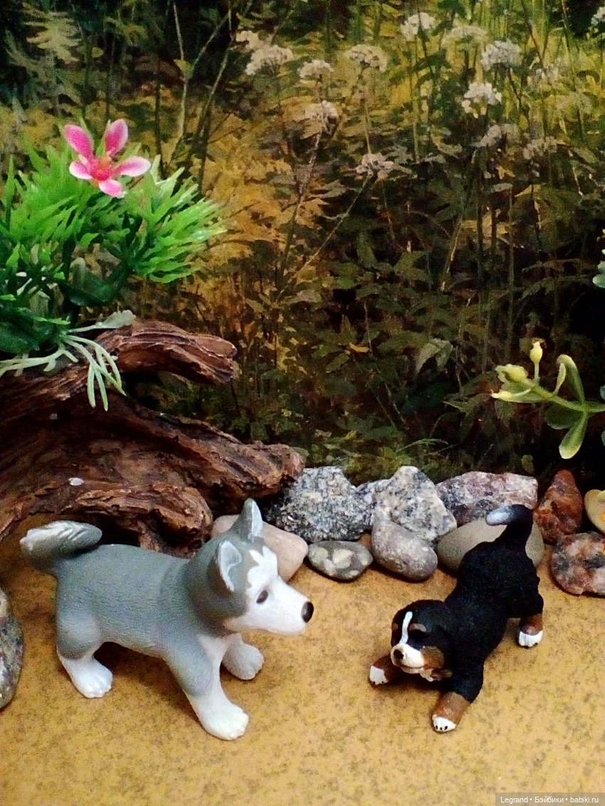 Лурения. Домашние питомцы на прогулке | Бэйбики Лурения. Домашние питомцы на прогулке (фото 5)