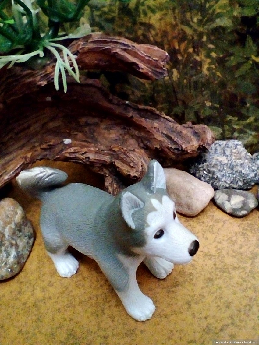 Лурения. Домашние питомцы на прогулке | Бэйбики Лурения. Домашние питомцы на прогулке (фото 6)