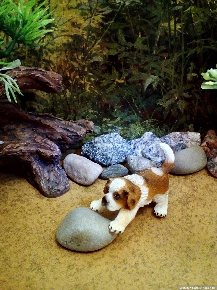 Лурения. Домашние питомцы на прогулке | Бэйбики Лурения. Домашние питомцы на прогулке