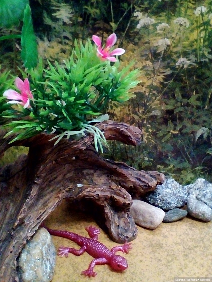 Лурения. Домашние питомцы на прогулке | Бэйбики Лурения. Домашние питомцы на прогулке