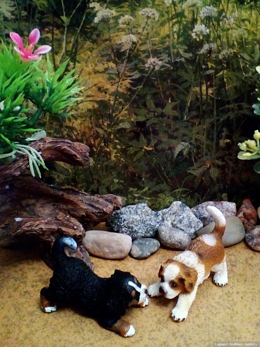 Лурения. Домашние питомцы на прогулке | Бэйбики Лурения. Домашние питомцы на прогулке