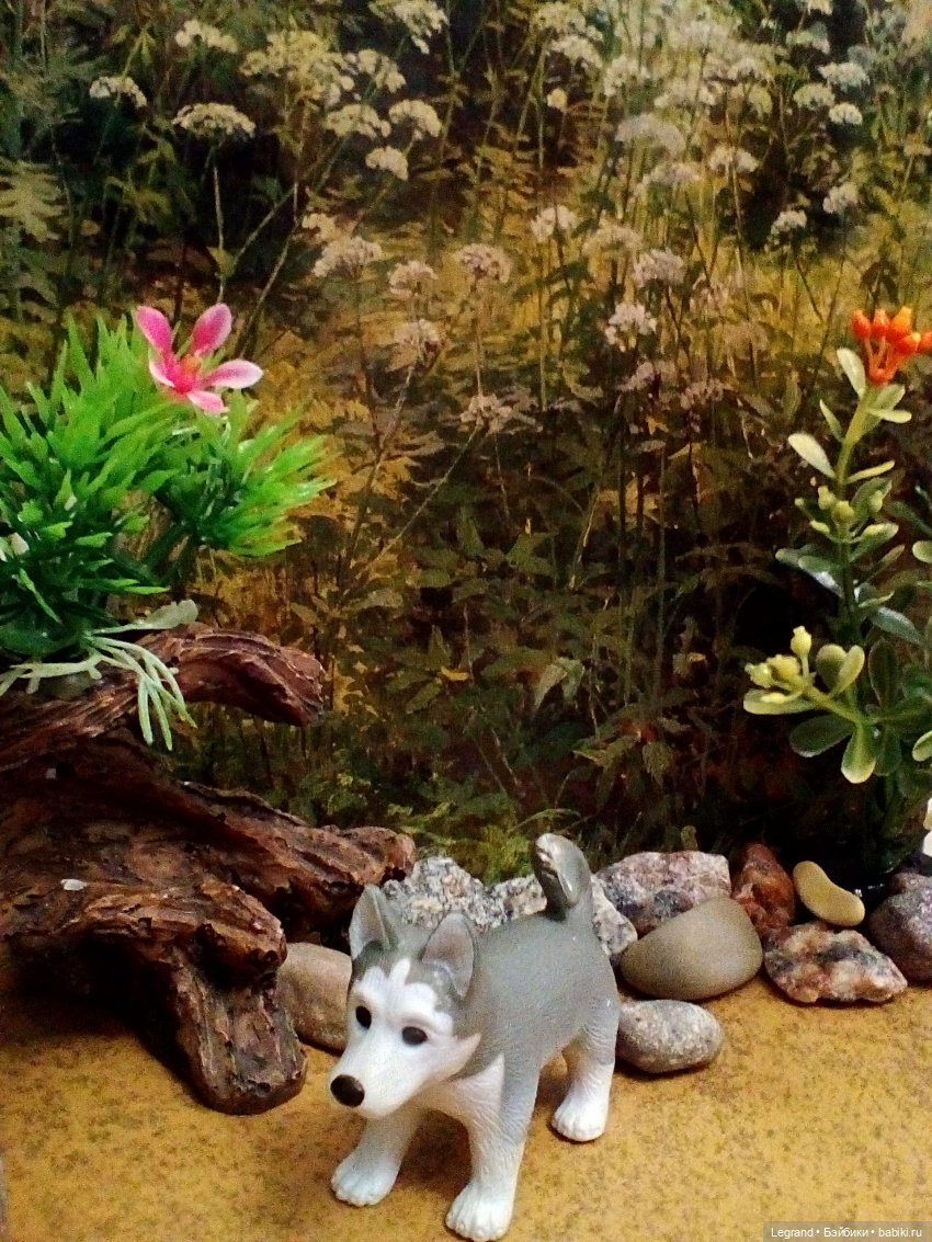 Лурения. Домашние питомцы на прогулке | Бэйбики Лурения. Домашние питомцы на прогулке