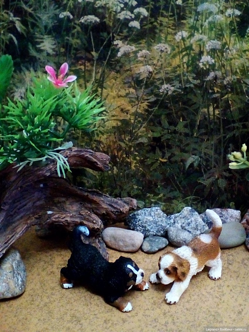 Лурения. Домашние питомцы на прогулке | Бэйбики Лурения. Домашние питомцы на прогулке