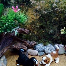 Лурения. Домашние питомцы на прогулке