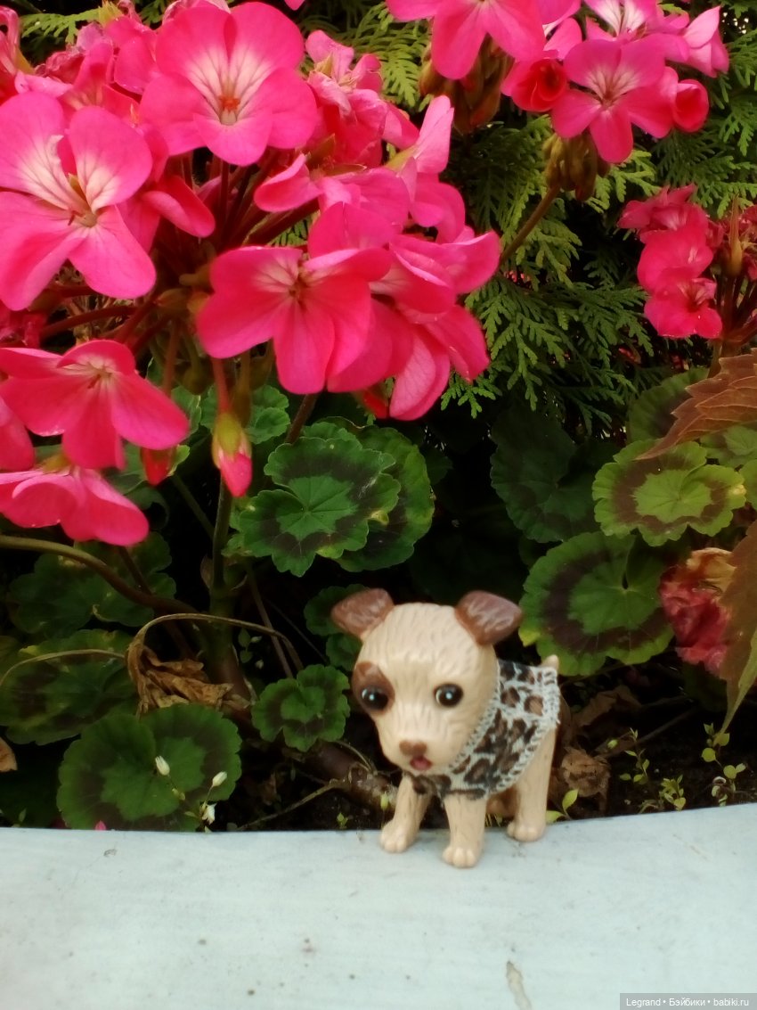 Петербург. Лукум в Парадном квартале и магазине Kuchenland | Бэйбики Петербург. Лукум в Парадном квартале и магазине Kuchenland