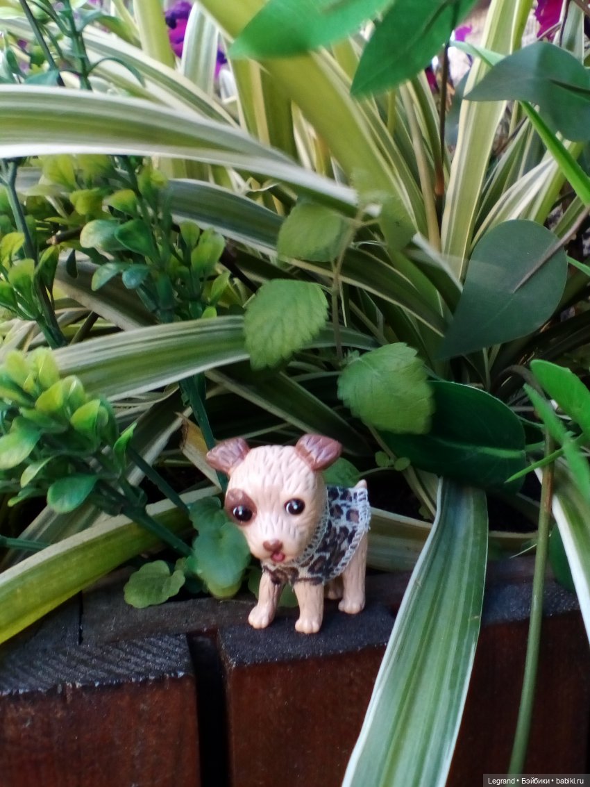 Петербург. Лукум в Парадном квартале и магазине Kuchenland | Бэйбики Петербург. Лукум в Парадном квартале и магазине Kuchenland (фото 5)