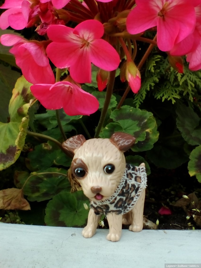 Петербург. Лукум в Парадном квартале и магазине Kuchenland | Бэйбики Петербург. Лукум в Парадном квартале и магазине Kuchenland