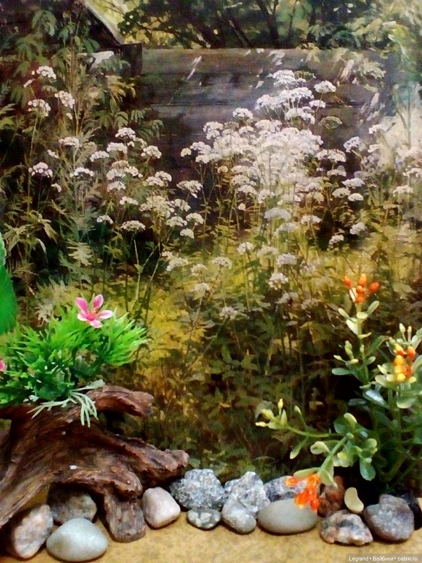 Лурения. Черепашки и Ника | Бэйбики Лурения. Черепашки и Ника