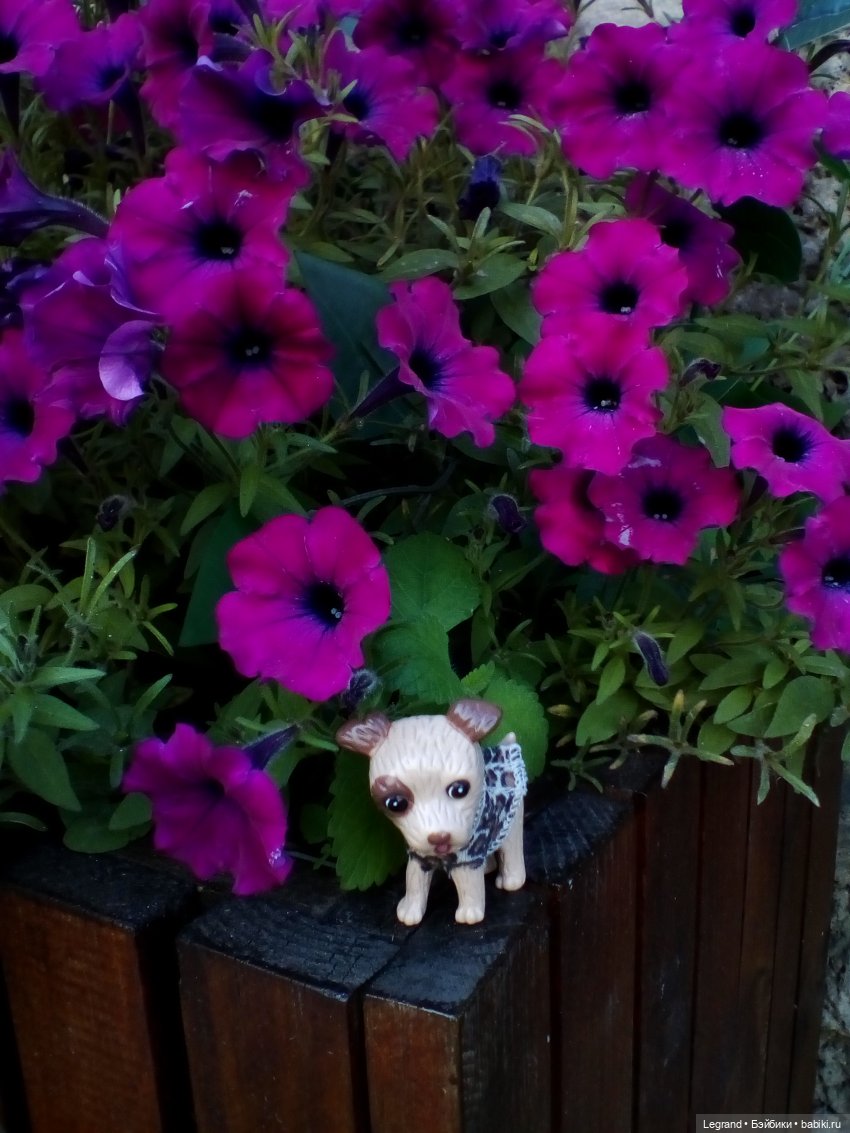 Петербург. Лукум в Парадном квартале и магазине Kuchenland | Бэйбики Петербург. Лукум в Парадном квартале и магазине Kuchenland (фото 3)