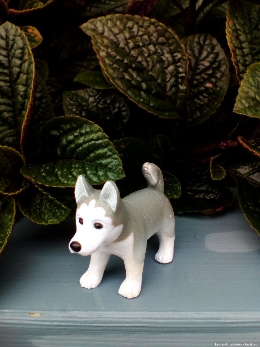 Петербург. Фонтаны в Парадном и Таврический сад. Милош и Норд | Бэйбики Петербург. Фонтаны в Парадном и Таврический сад. Милош и Норд (фото 10)