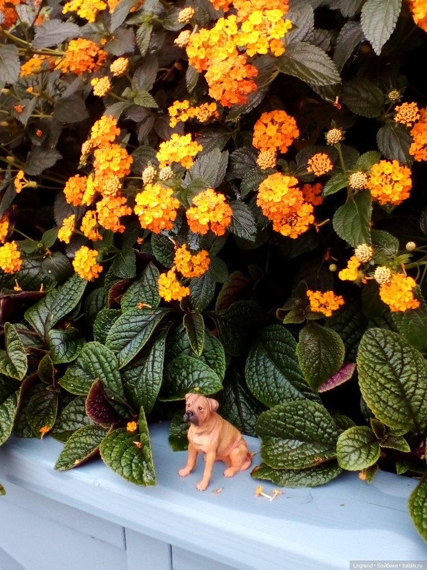 Петербург. Фонтаны в Парадном и Таврический сад. Милош и Норд | Бэйбики Петербург. Фонтаны в Парадном и Таврический сад. Милош и Норд