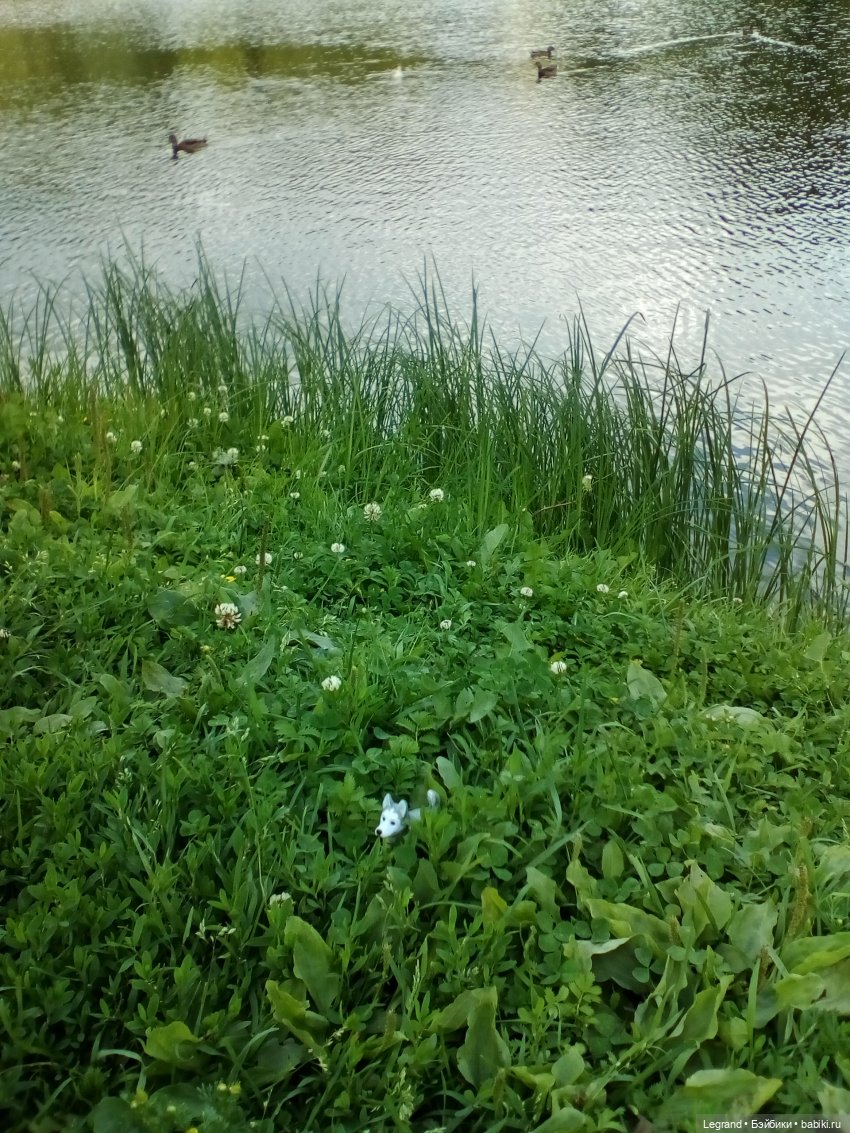 Петербург. Фонтаны в Парадном и Таврический сад. Милош и Норд | Бэйбики Петербург. Фонтаны в Парадном и Таврический сад. Милош и Норд