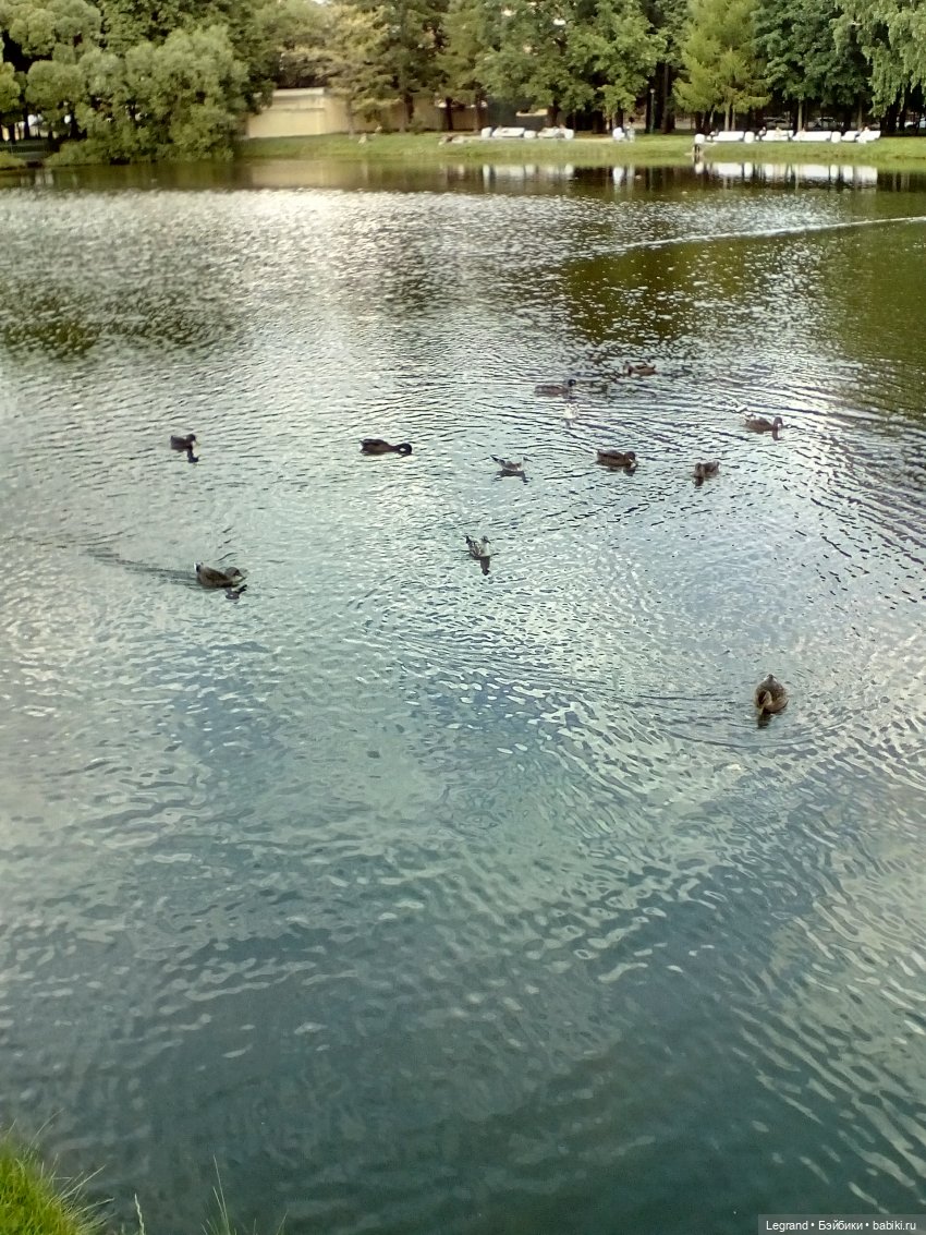 Петербург. Фонтаны в Парадном и Таврический сад. Милош и Норд | Бэйбики Петербург. Фонтаны в Парадном и Таврический сад. Милош и Норд