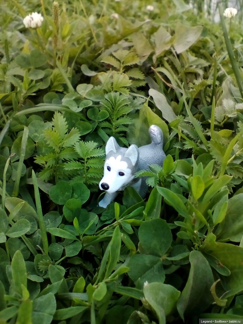 Петербург. Фонтаны в Парадном и Таврический сад. Милош и Норд | Бэйбики Петербург. Фонтаны в Парадном и Таврический сад. Милош и Норд