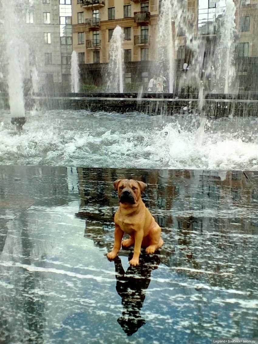 Петербург. Фонтаны в Парадном и Таврический сад. Милош и Норд | Бэйбики Петербург. Фонтаны в Парадном и Таврический сад. Милош и Норд (фото 3)
