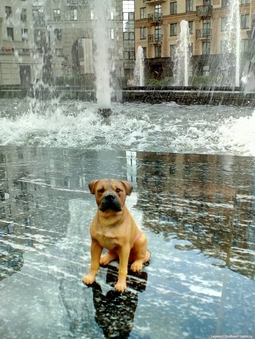 Петербург. Фонтаны в Парадном и Таврический сад. Милош и Норд | Бэйбики Петербург. Фонтаны в Парадном и Таврический сад. Милош и Норд (фото 5)