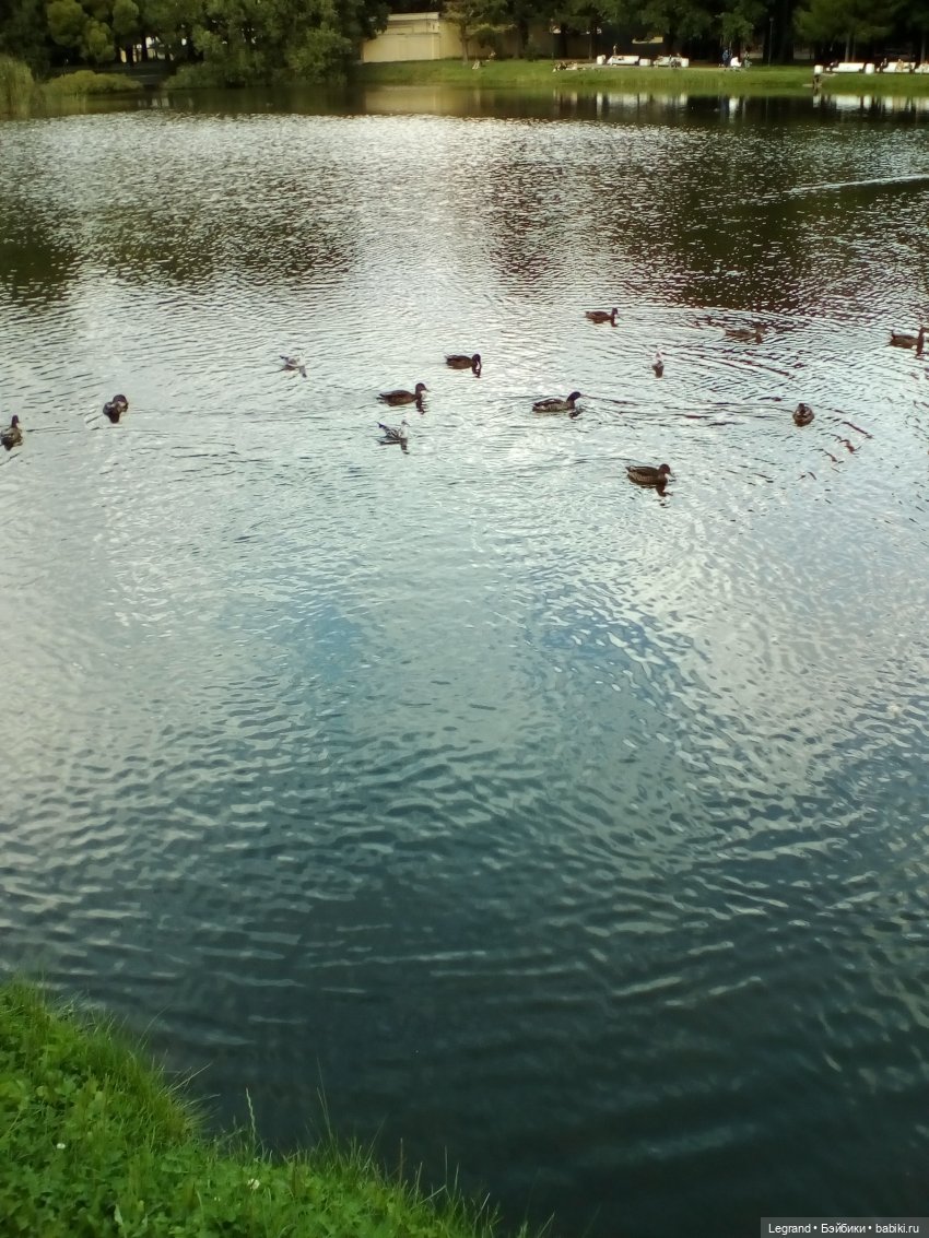 Петербург. Фонтаны в Парадном и Таврический сад. Милош и Норд | Бэйбики Петербург. Фонтаны в Парадном и Таврический сад. Милош и Норд