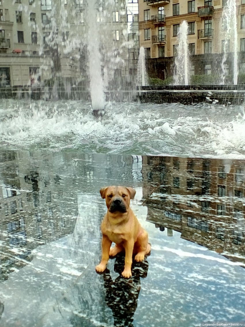 Петербург. Фонтаны в Парадном и Таврический сад. Милош и Норд | Бэйбики Петербург. Фонтаны в Парадном и Таврический сад. Милош и Норд (фото 4)