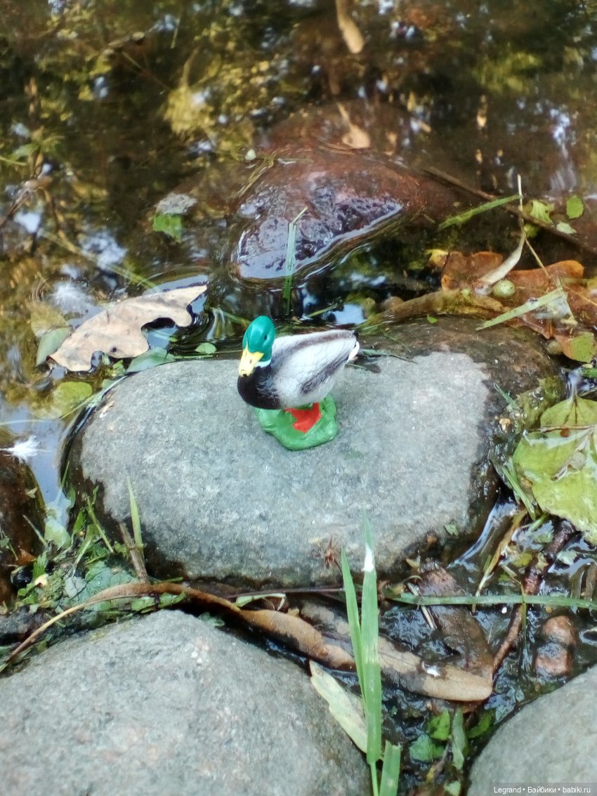 Петербург. Фонтаны в Парадном. Таврический сад. Домашние питомцы на прогулке | Бэйбики Петербург. Фонтаны в Парадном. Таврический сад. Домашние питомцы на прогулке