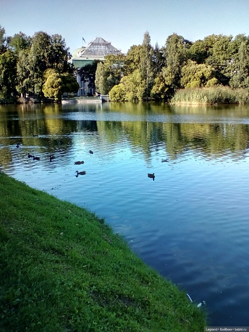 Петербург. Фонтаны в Парадном. Таврический сад. Домашние питомцы на прогулке | Бэйбики Петербург. Фонтаны в Парадном. Таврический сад. Домашние питомцы на прогулке