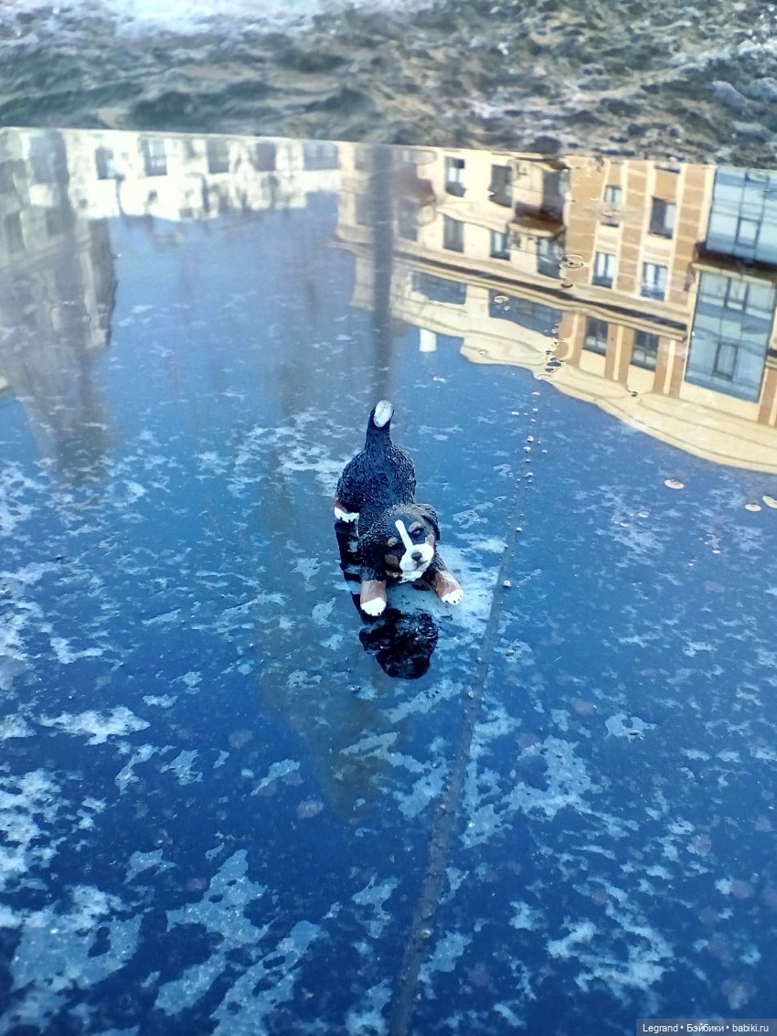 Петербург. Фонтаны в Парадном. Таврический сад. Домашние питомцы на прогулке | Бэйбики Петербург. Фонтаны в Парадном. Таврический сад. Домашние питомцы на прогулке (фото 7)