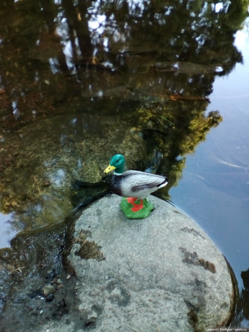 Петербург. Фонтаны в Парадном. Таврический сад. Домашние питомцы на прогулке | Бэйбики Петербург. Фонтаны в Парадном. Таврический сад. Домашние питомцы на прогулке
