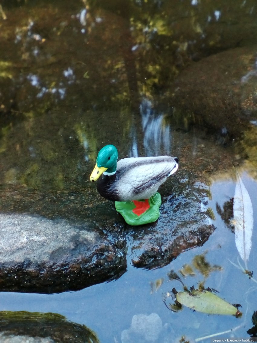 Петербург. Фонтаны в Парадном. Таврический сад. Домашние питомцы на прогулке | Бэйбики Петербург. Фонтаны в Парадном. Таврический сад. Домашние питомцы на прогулке