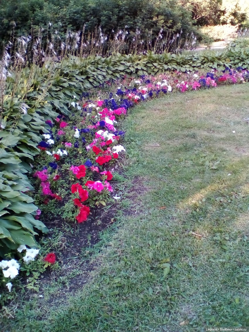 Петербург. Таврический сад. Ул.Радищева. Джан и Джесур (продолжение прогулки) | Бэйбики Петербург. Таврический сад. Ул.Радищева. Джан и Джесур (продолжение прогулки)