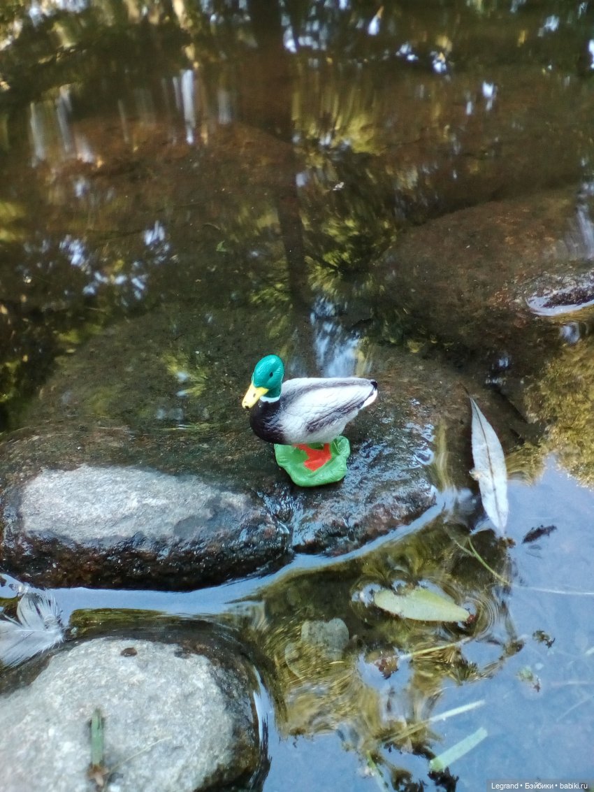 Петербург. Фонтаны в Парадном. Таврический сад. Домашние питомцы на прогулке | Бэйбики Петербург. Фонтаны в Парадном. Таврический сад. Домашние питомцы на прогулке