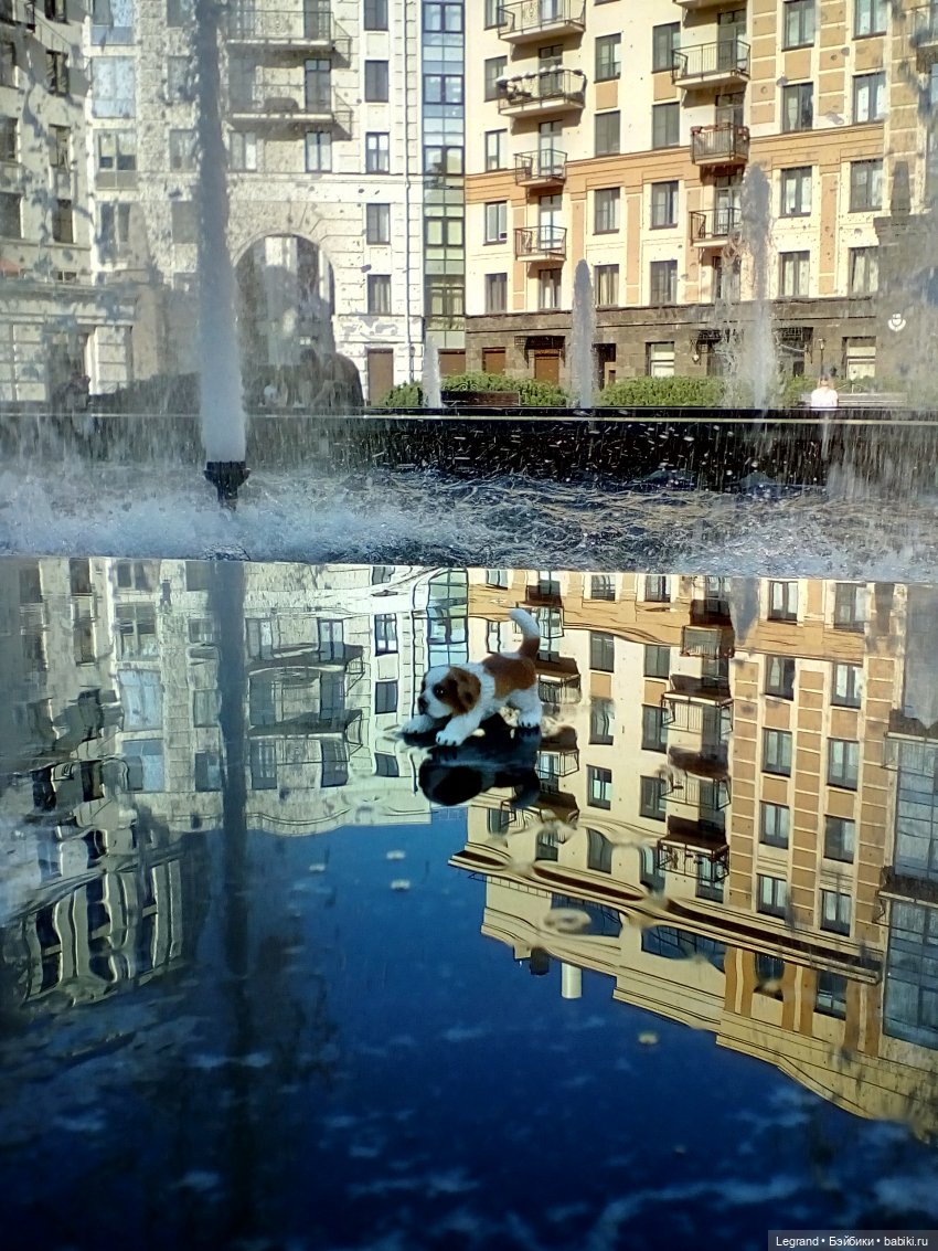 Петербург. Фонтаны в Парадном. Таврический сад. Домашние питомцы на прогулке | Бэйбики Петербург. Фонтаны в Парадном. Таврический сад. Домашние питомцы на прогулке