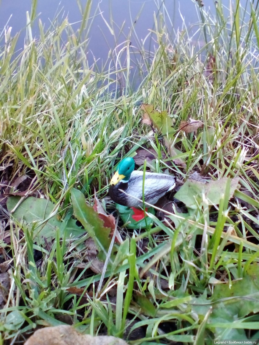 Петербург. Фонтаны в Парадном. Таврический сад. Домашние питомцы на прогулке | Бэйбики Петербург. Фонтаны в Парадном. Таврический сад. Домашние питомцы на прогулке