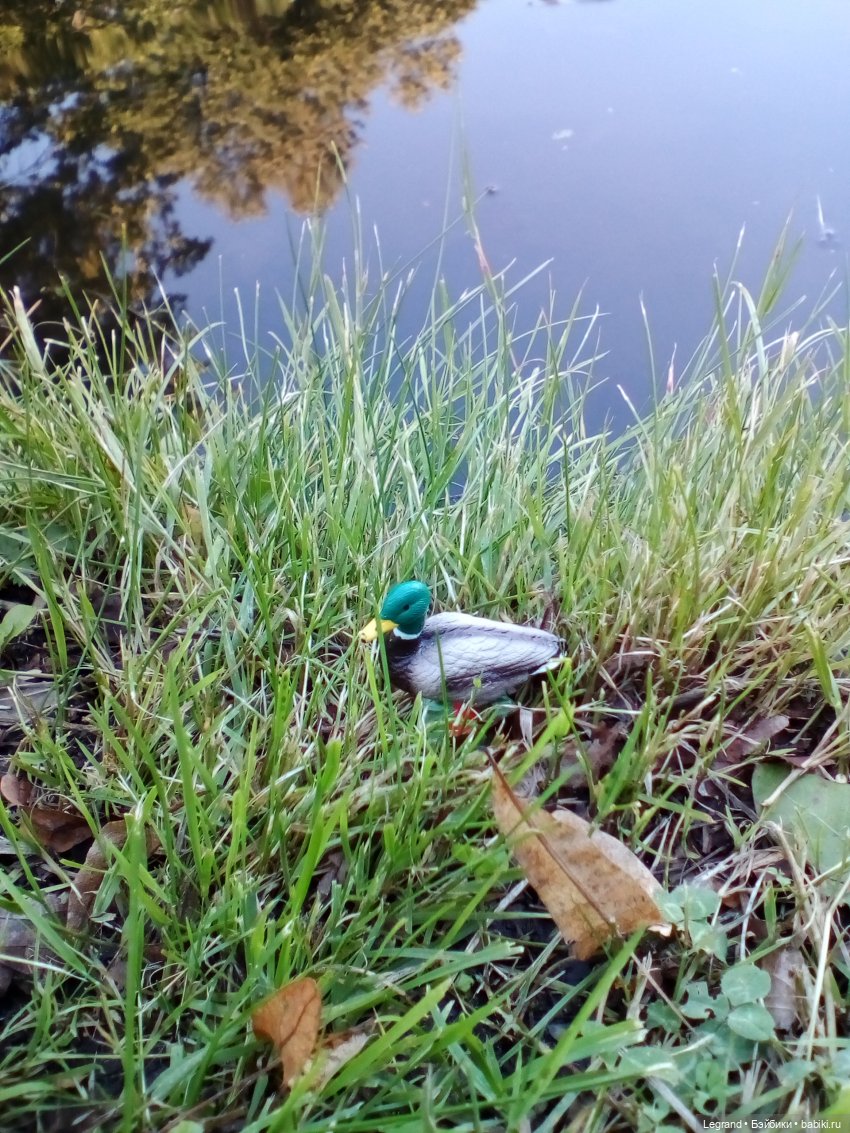 Петербург. Фонтаны в Парадном. Таврический сад. Домашние питомцы на прогулке | Бэйбики Петербург. Фонтаны в Парадном. Таврический сад. Домашние питомцы на прогулке