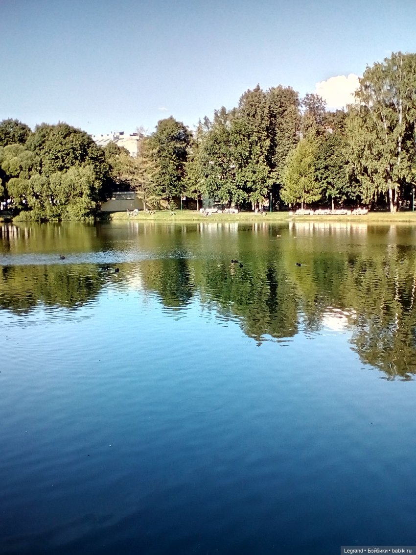 Петербург. Фонтаны в Парадном. Таврический сад. Домашние питомцы на прогулке | Бэйбики Петербург. Фонтаны в Парадном. Таврический сад. Домашние питомцы на прогулке
