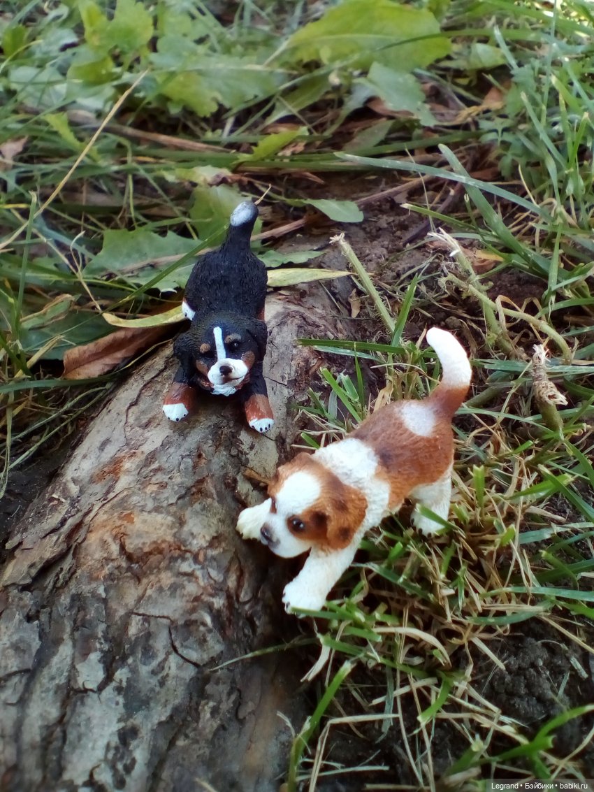 Петербург. Таврический сад. Ул.Радищева. Джан и Джесур (продолжение прогулки) | Бэйбики Петербург. Таврический сад. Ул.Радищева. Джан и Джесур (продолжение прогулки) (фото 3)