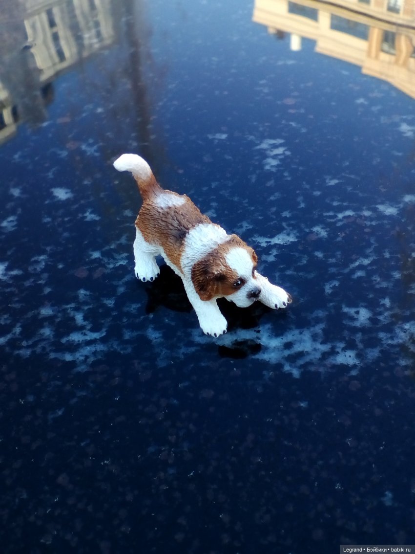 Петербург. Фонтаны в Парадном. Таврический сад. Домашние питомцы на прогулке | Бэйбики Петербург. Фонтаны в Парадном. Таврический сад. Домашние питомцы на прогулке (фото 10)