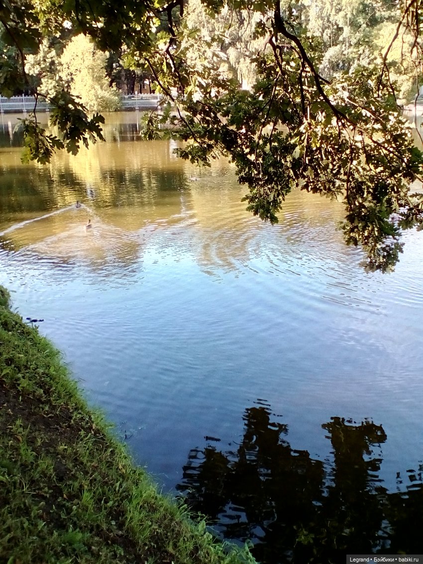 Петербург. Фонтаны в Парадном. Таврический сад. Домашние питомцы на прогулке | Бэйбики Петербург. Фонтаны в Парадном. Таврический сад. Домашние питомцы на прогулке