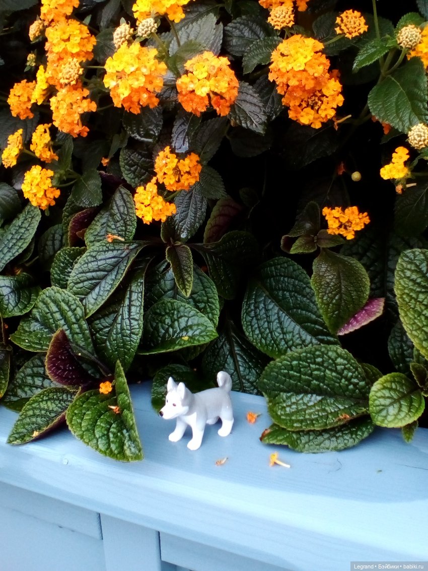 Петербург. Фонтаны в Парадном и Таврический сад. Милош и Норд | Бэйбики Петербург. Фонтаны в Парадном и Таврический сад. Милош и Норд