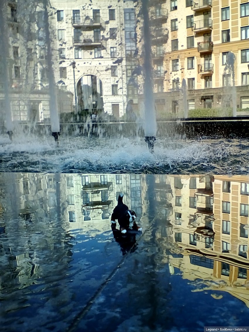 Петербург. Фонтаны в Парадном. Таврический сад. Домашние питомцы на прогулке | Бэйбики Петербург. Фонтаны в Парадном. Таврический сад. Домашние питомцы на прогулке (фото 5)