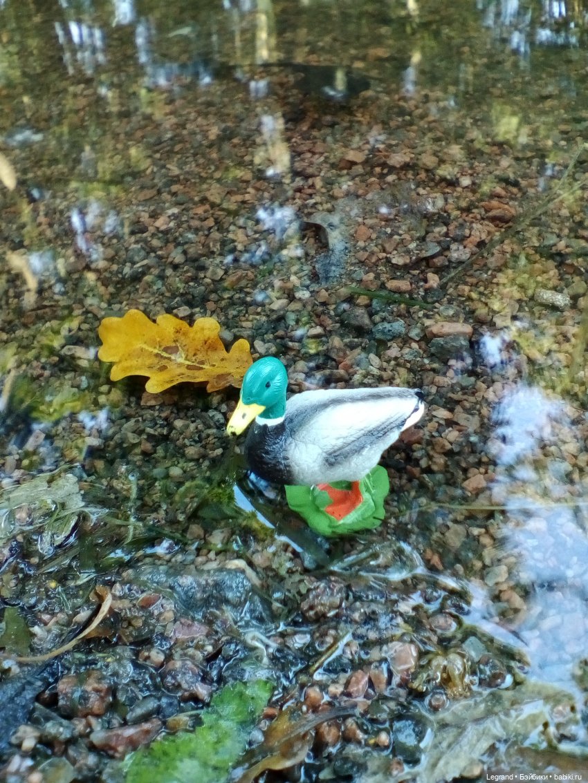 Петербург. Фонтаны в Парадном. Таврический сад. Домашние питомцы на прогулке | Бэйбики Петербург. Фонтаны в Парадном. Таврический сад. Домашние питомцы на прогулке