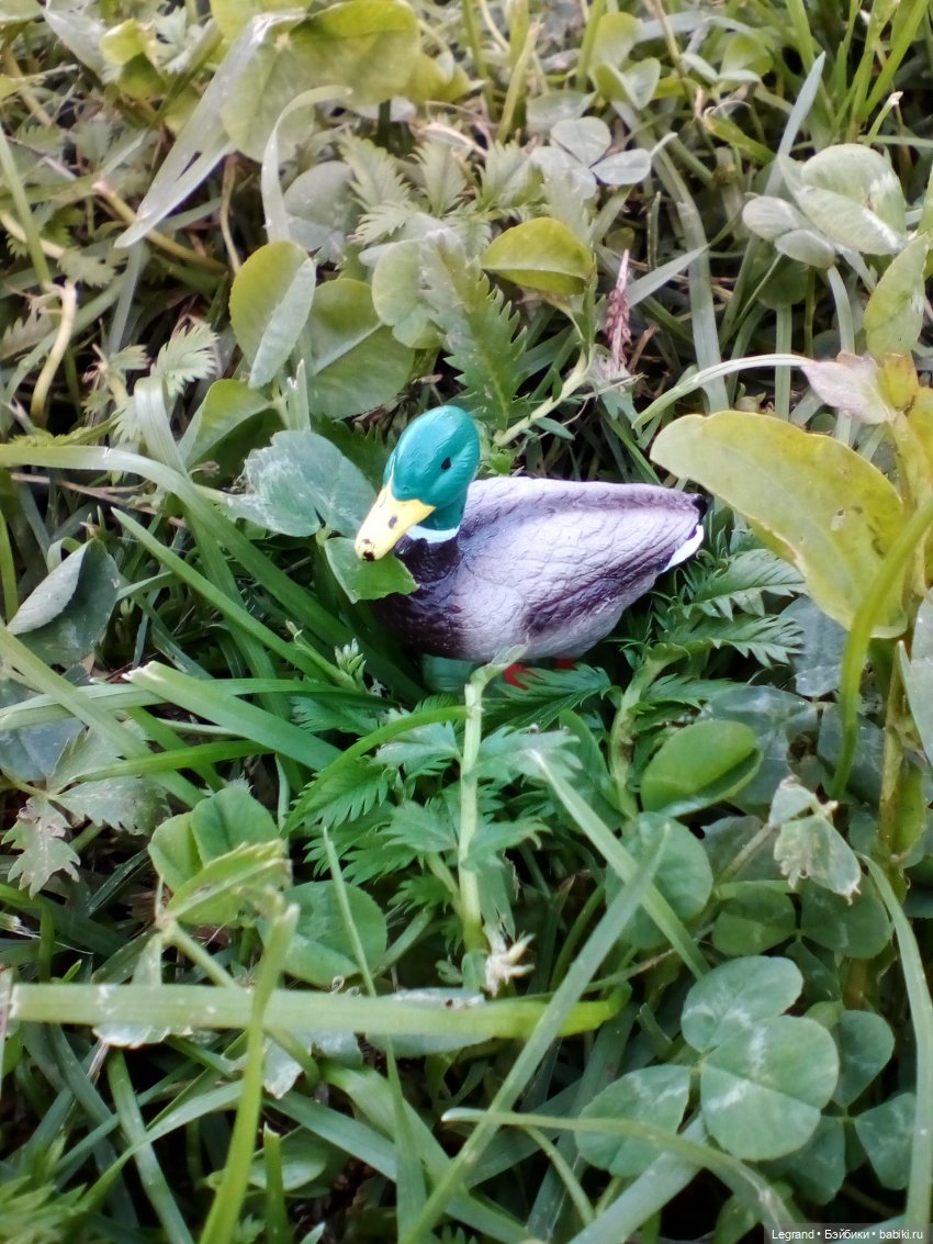 Петербург. Фонтаны в Парадном. Таврический сад. Домашние питомцы на прогулке | Бэйбики Петербург. Фонтаны в Парадном. Таврический сад. Домашние питомцы на прогулке