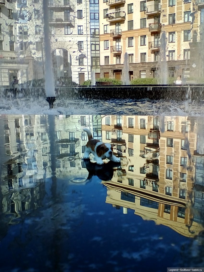 Петербург. Фонтаны в Парадном. Таврический сад. Домашние питомцы на прогулке | Бэйбики Петербург. Фонтаны в Парадном. Таврический сад. Домашние питомцы на прогулке (фото 9)