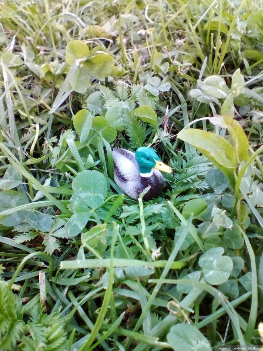 Петербург. Фонтаны в Парадном. Таврический сад. Домашние питомцы на прогулке | Бэйбики Петербург. Фонтаны в Парадном. Таврический сад. Домашние питомцы на прогулке